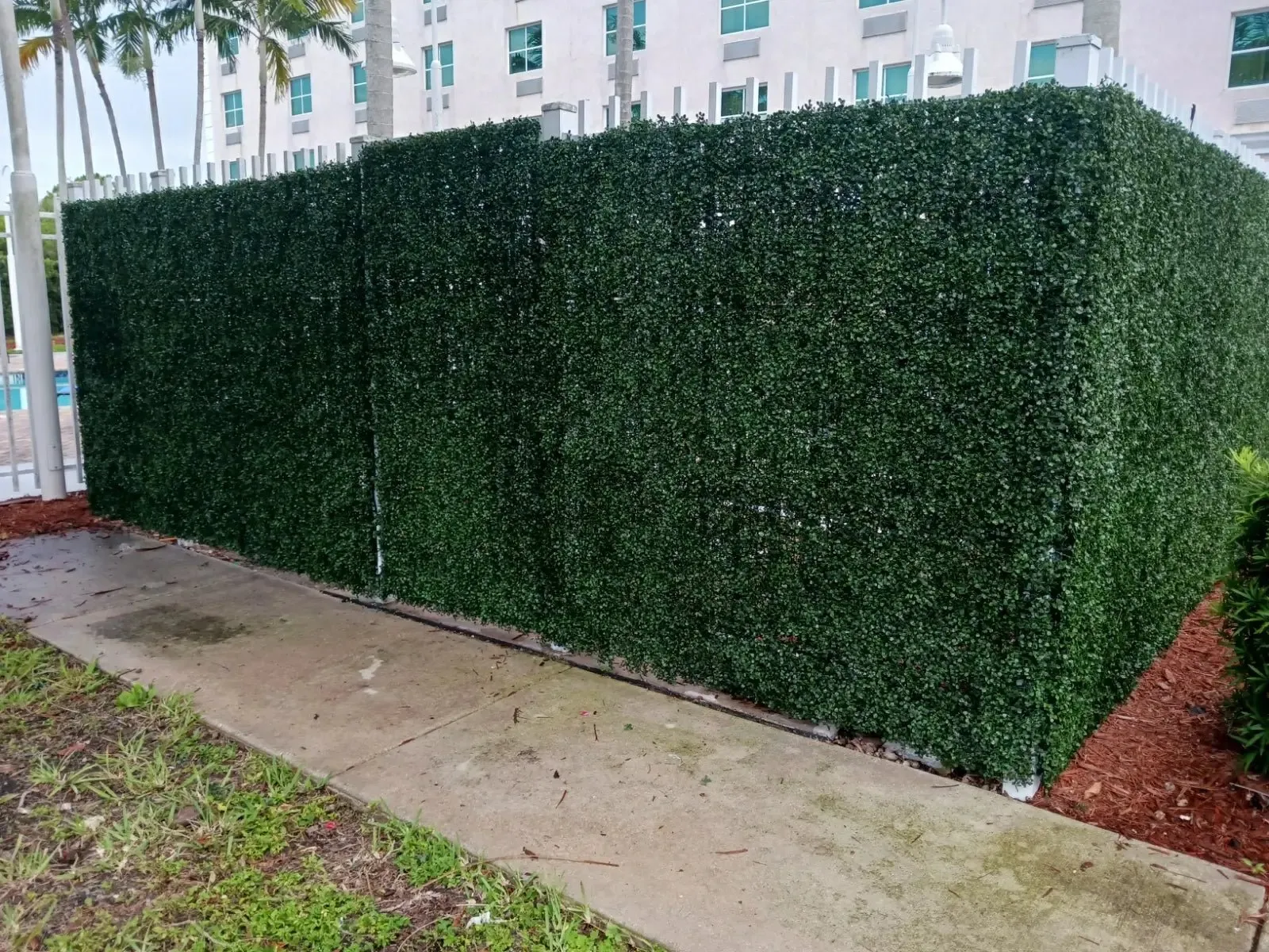 English Boxwood Artificial Hedge Panel Green Wall 1m x 1m UV Resistant